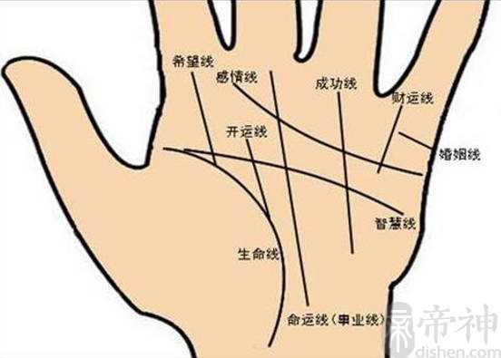 怎么看手相，智慧线长短适中最好