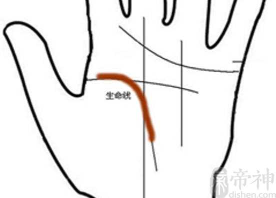 男人的左手的手相图解，生命线长短代表健康程度