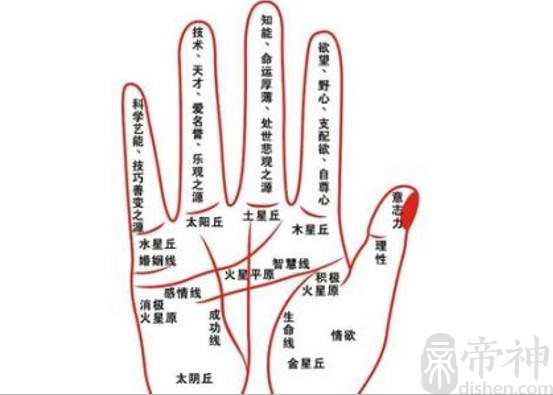 为什么不能随便看手相，避免财运和运程被破坏