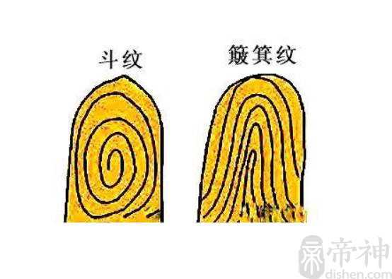 手相中有四个斗是什么命，是固执不懂变通的命