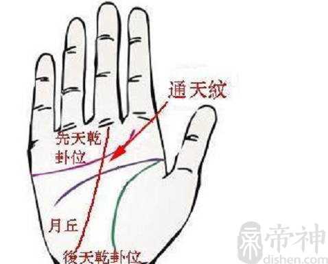 手相：天部月形纹（月晕纹），形状完整、纹路秀丽清晰最佳
