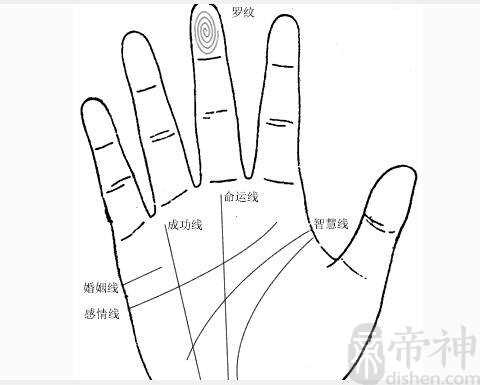 星纹代表什么，代表着你的性格成熟稳重