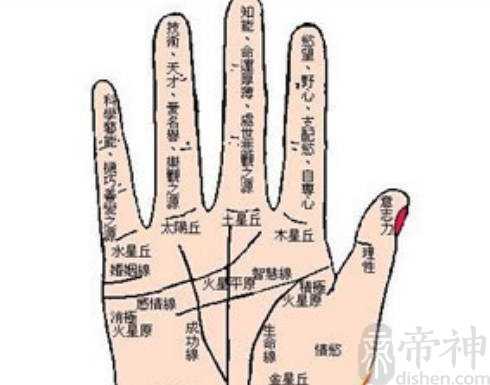 手纹有井字纹好不好，井字纹能够给你们带来好运