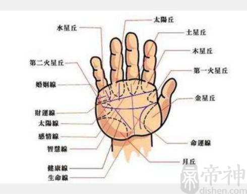 男人富贵手相，富贵手相能发财