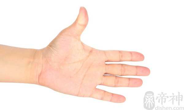 男人左手手纹图解 男性手相解析