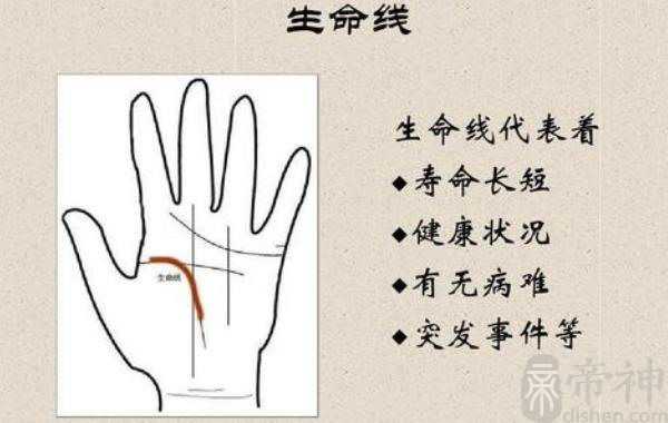 手上的生命线跟寿命有什么关系 生命线详解