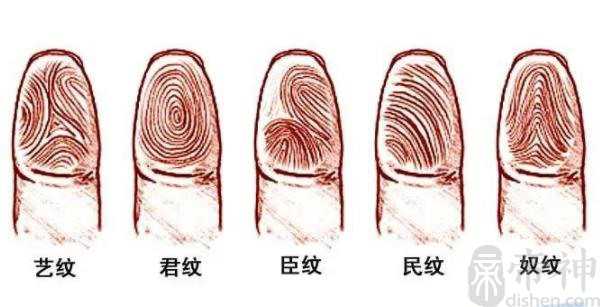 内破双斗纹的意思 斗形纹的特例