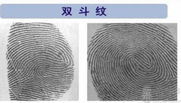 左手双斗纹好不好 总体运势很好