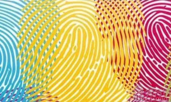 双斗纹财运好不好   财运不错但易错失良机