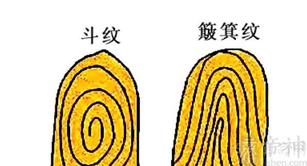 手相解析 手指双斗纹与双簸纹的区别