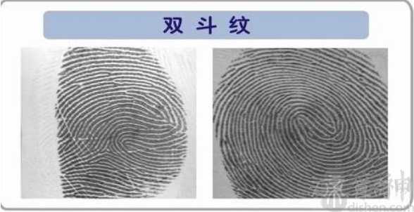 手指看相双斗纹是斗还是簸箕  双斗纹是斗纹不是箕纹