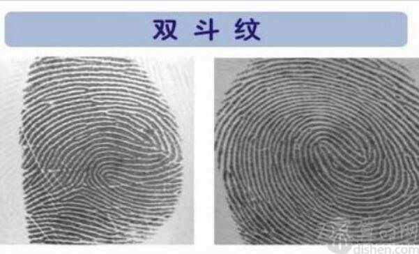 双斗纹人的性格命运 解析什么是双斗纹