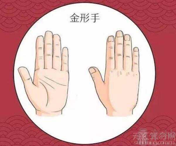 手相图解 金形手的特征和命运