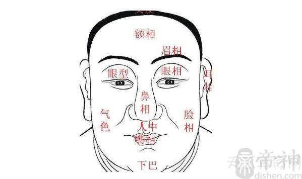 虎鼻面相的人运势主大富 性格做事干脆有效率
