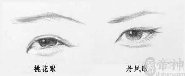 桃花眼和丹凤眼的区别是什么 桃花眼的眼形似若桃花