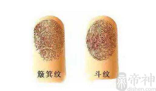 手指螺纹个数代表的含义，0个斗和10个斗是绝配
