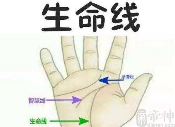 手相五大线纹，五大板块看运势