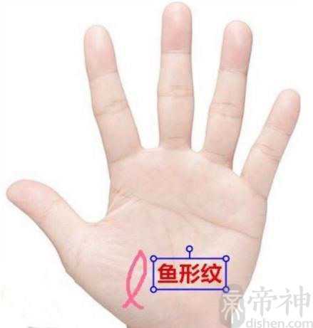 拥有手相鱼形纹非富即贵，一生不愁没钱