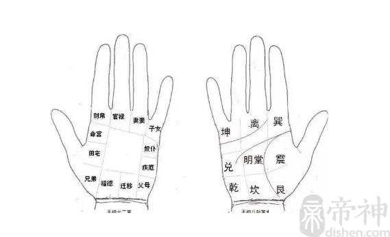 手相九宫如何看，九宫详解