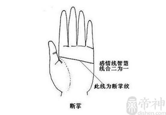 通贯掌的人有什么特殊，超天才型居多