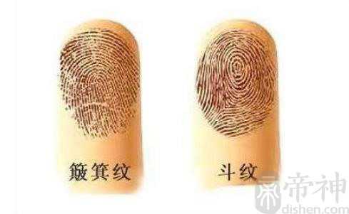 指纹10个斗，各方面运势都不错