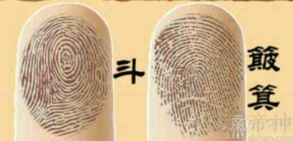 手指螺纹有几种图   手指螺纹运势解析