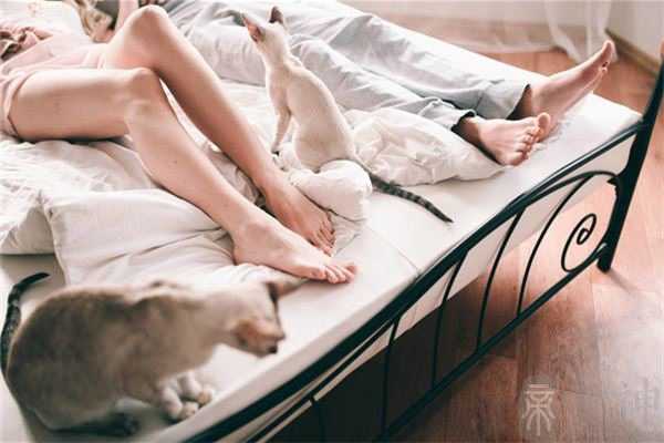 脚底纹路图解 脚底纹路图解