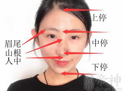 怎样从面相中看事业运势？