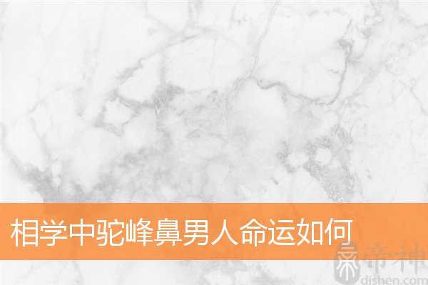 相学中驼峰鼻男人命运如何