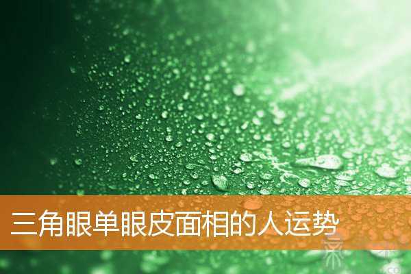 三角眼单眼皮面相的人运势
