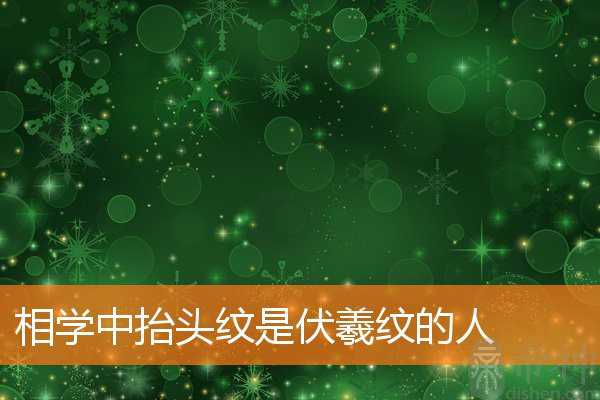 相学中抬头纹是伏羲纹的人
