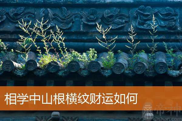 相学中山根横纹财运如何 相学中山根横纹财运如何