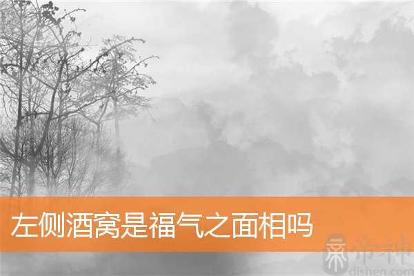 左侧酒窝是福气之面相吗