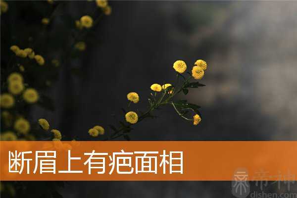 断眉上有疤面相