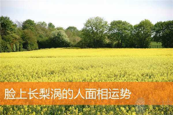 脸上长梨涡的人面相运势
