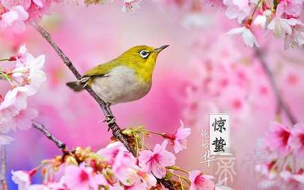 客厅可以挂婚纱照吗？客厅什么方向挂婚纱照好？