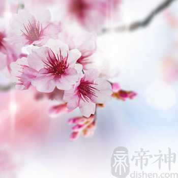 卧室如何布局不利于桃花运