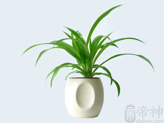 选址八方宜忌