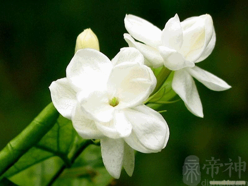 如何吸财引财