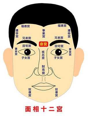 面相十二宫详解，面相十二宫图