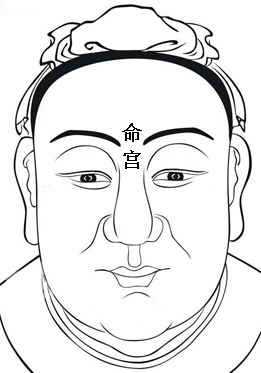 面相十二宫：命宫