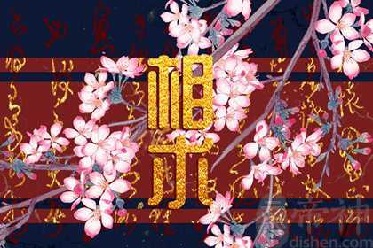会越来越富的女人面相招财 事业有成晚年昌荣