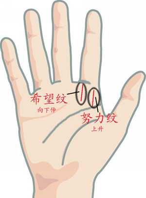 手相图解：努力纹