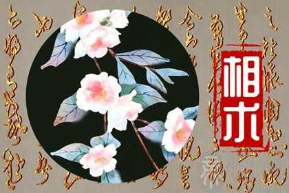 耳朵一高一低面相怎么化解 了解耳朵位置的意义