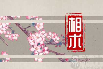 年龄越大越有钱有福面相女 晚年生活富贵幸福