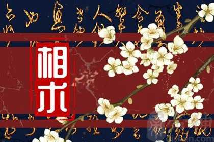 眼睛炯炯有神的人面相 面相眼睛看性格与命运
