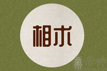 有福气的眉毛形状 富贵旺夫运势佳善于理财