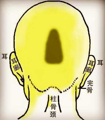 骨相学图解大全之昆仑奇峰骨