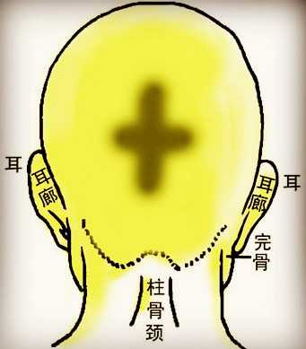 骨相学图解大全之金锁十字骨