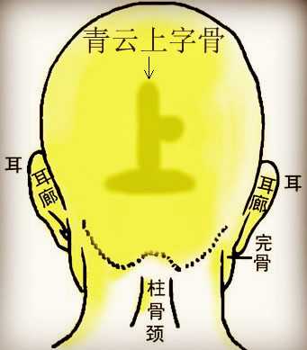 骨相学图解大全之青云上字骨
